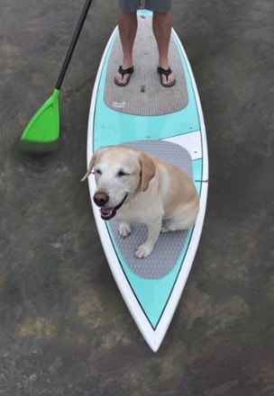 Seattle Sports SUP Dog Board Pad In use (Gray)