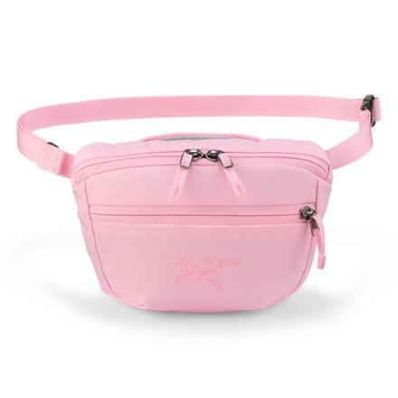 Arc'teryx Mantis 1 Waistpack 2