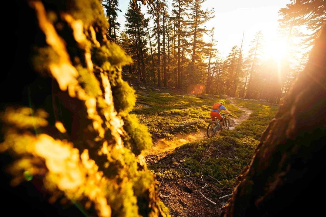 Location Image for Energy Bar