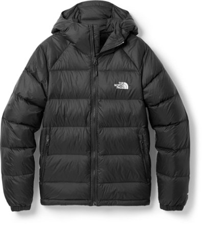 North face down jacket mens online