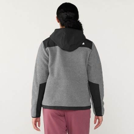 The North Face Retro Denali Hoodie - Women's 2