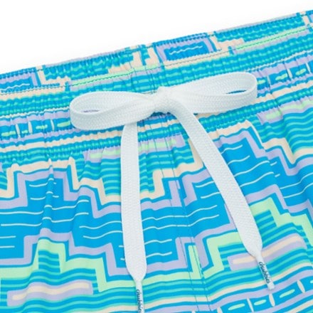 Chubbies Stretch 5.5" Swim Trunks - Men's 1