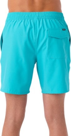 O'Neill Lennox Hermosa Solid Elastic Waist 17" Swim Trunks - Men's 1