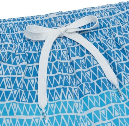 Chubbies Stretch 5.5" Swim Trunks - Men's 1