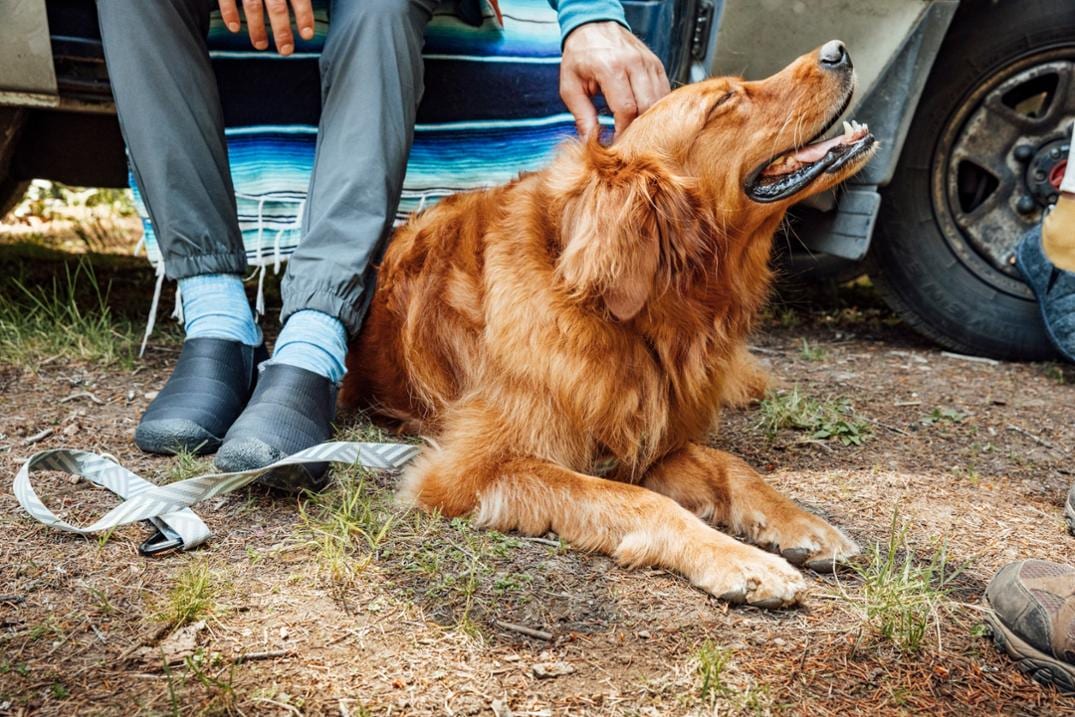 Location Image for Howser II Slippers - Men's