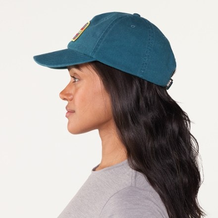 REI Co-op Everyday Graphic Cap 3