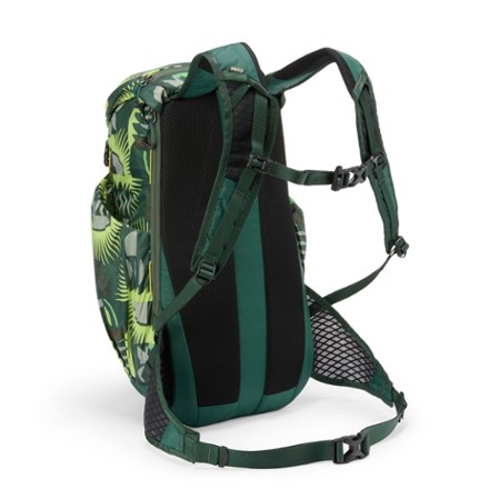 REI Co-op Flash 22 Print Pack 4