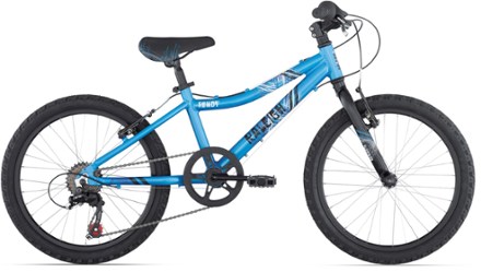 raleigh rowdy 20 review