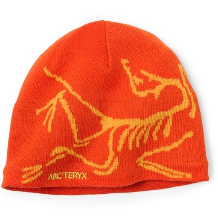 Arcteryx beanie hotsell