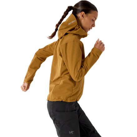 Arc'teryx Gamma Hoodie - Women's 6