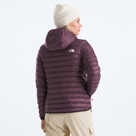 The North Face Terra Peak Insulated Hoodie - Women's 1