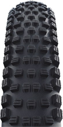 Schwalbe Wicked Will Clincher Performance Addix Tire - 29 2