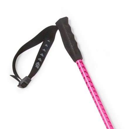 black crows Meta Ski Poles - Pair 1