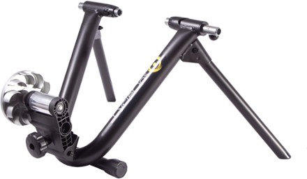 rei bike trainer