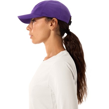 Arc'teryx Bird Word Cap 4