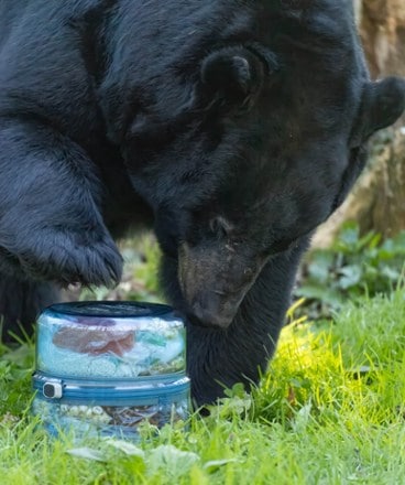 BearVault BV ONE Adjustable Bear Canister 7