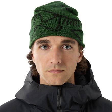 Arc'teryx Bird Head Toque Beanie 1