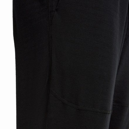 Icebreaker Merino Blend 300 RealFleece Descender Joggers - Men's 6