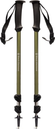 Hiking sticks big on sale 5