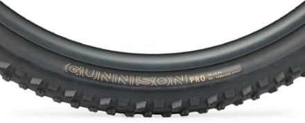 Bontrager Gunnison Pro XR TLR Tire 2