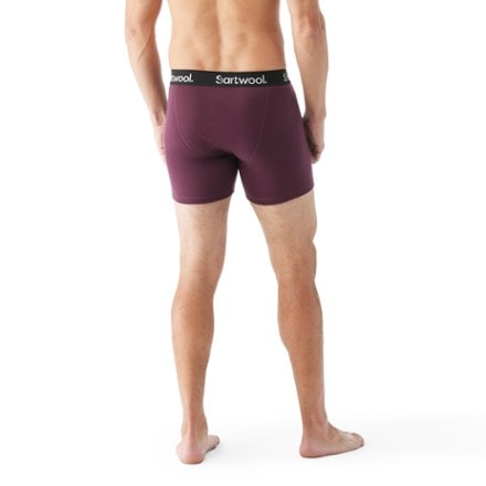 Smartwool Merino Boxer Briefs - Men's 1