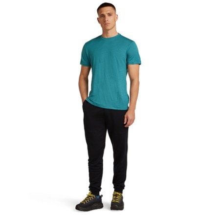 Icebreaker Merino Blend 300 RealFleece Descender Joggers - Men's 2