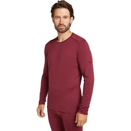 Icebreaker Merino 260 Tech Long-Sleeve Crewe Thermal Top - Men's 0