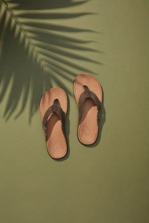 Location Image of color Hunter/Golden Sand