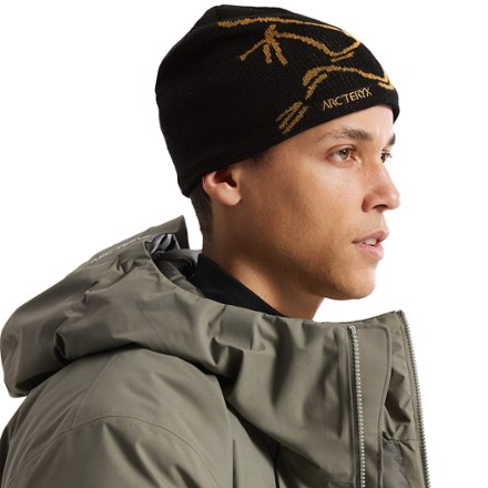 Arc'teryx Bird Head Toque Beanie 3