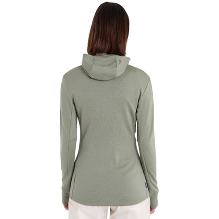 Icebreaker Merino 260 Quantum Long-Sleeve Zip Hoodie - Women's 1