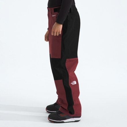 The North Face GORE-TEX Hex Pants - Men's 4