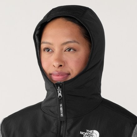 The North Face Retro Denali Hoodie - Women's 4