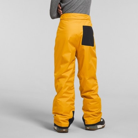 The North Face Freedom Insulated Snow Pants - Kids' 1