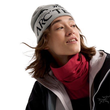 Arc'teryx Rho Neck Gaiter - Long 1