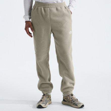 The North Face Fleeski Pants - Men's 1