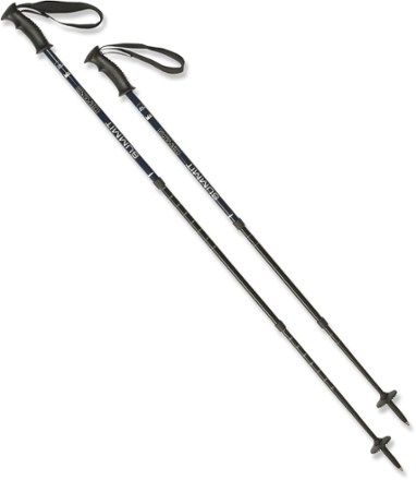 alpine summit trekking pole