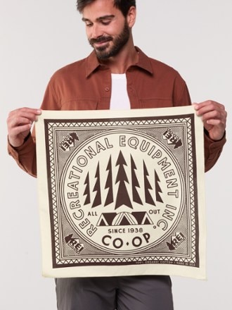 REI Co-op Graphic Bandana 2