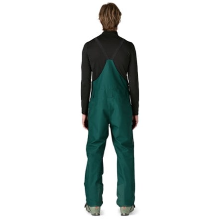 Patagonia Powder Town Bib Pants - Men's 2