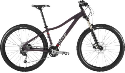 best cross country bikes under 1000