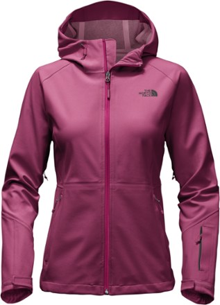 Womens north outlet face apex flex