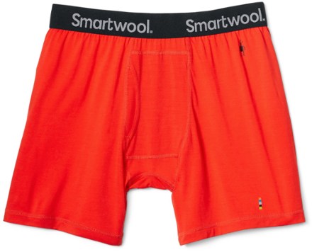 Smartwool Merino 150 P Boxer Brief - Men's - Clothing