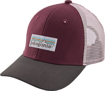 patagonia youth hat