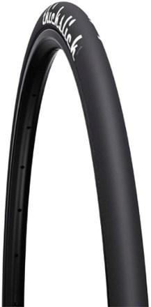 WTB ThickSlick Comp Tire - 700 x 25mm | REI Co-op