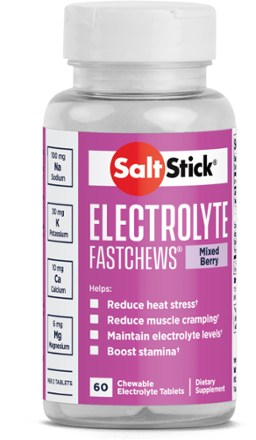 SaltStick FastChews Chewable Electrolyte Tablets - 60 Tablets