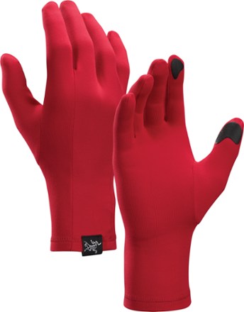 Arcteryx shop rho glove