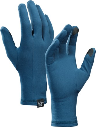 Arcteryx shop rho gloves