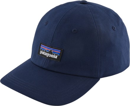 patagonia baseball cap