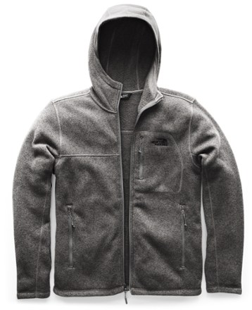 the north face gordon lyons fleece hoodie