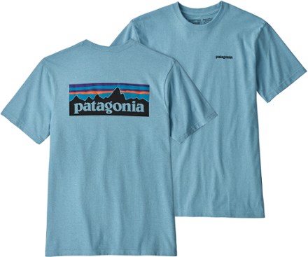 light blue patagonia shirt