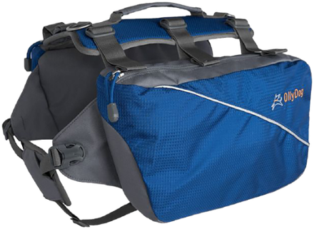 Ruffwear Approach Dog Pack at REI